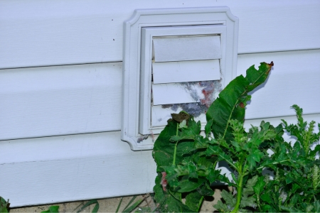 Dryer Vent Cleaning